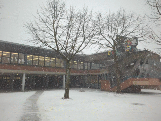 Einstein im Schnee 1767788811960