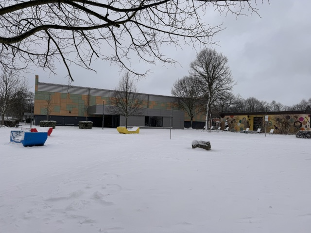 Einstein im Schnee image0