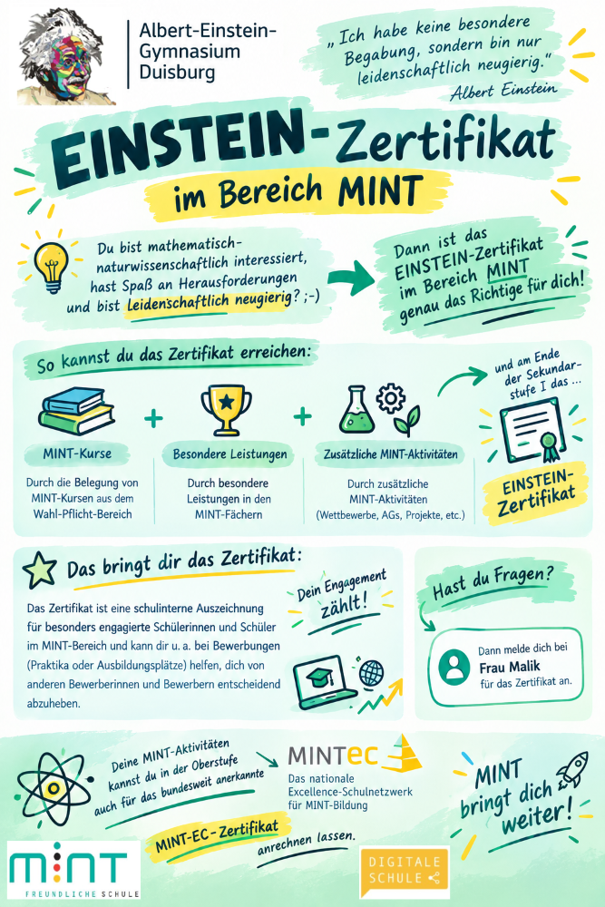 EINSTEIN Zertifikat Flyer Web